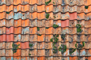 roof damage