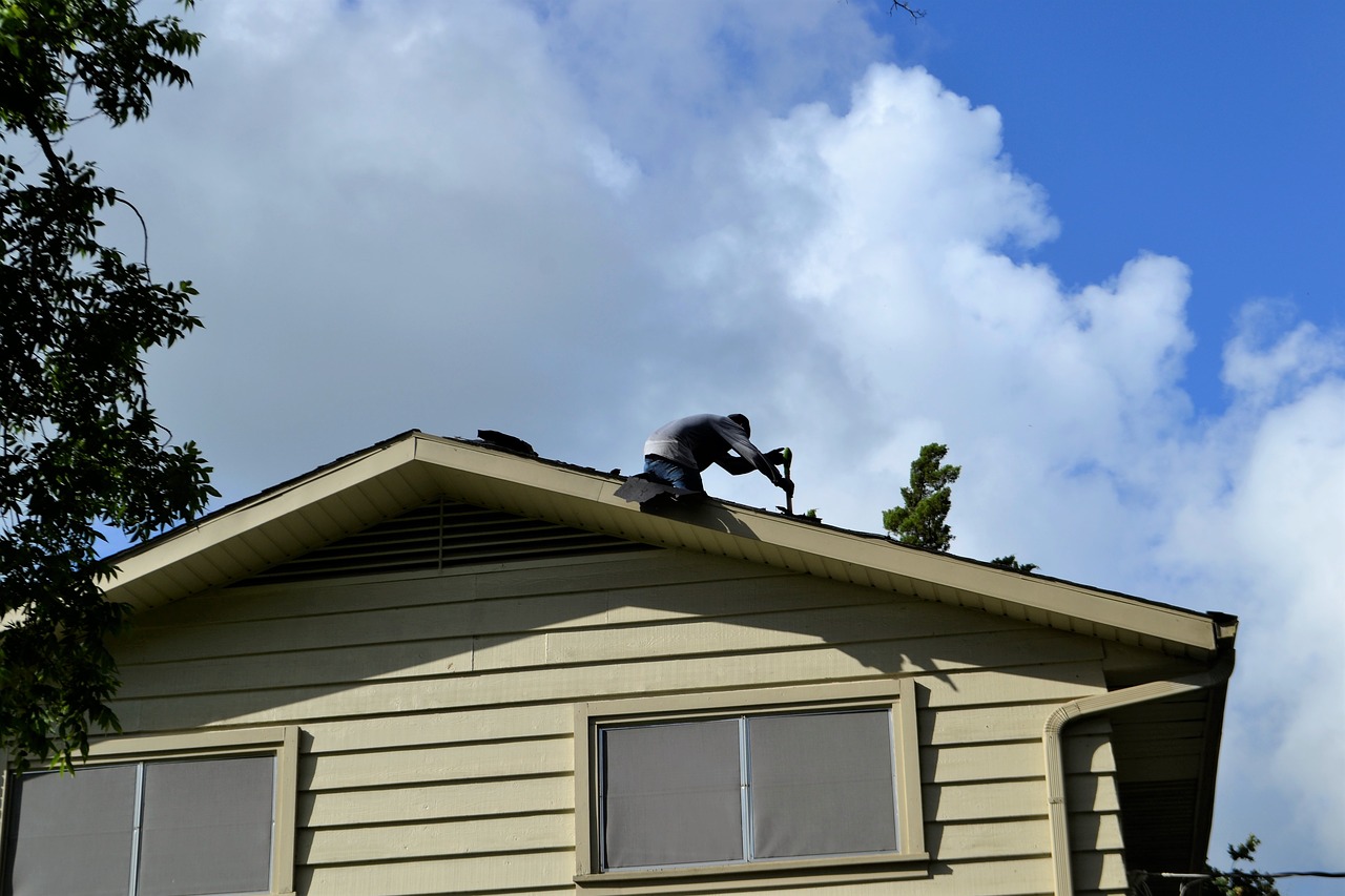 roof